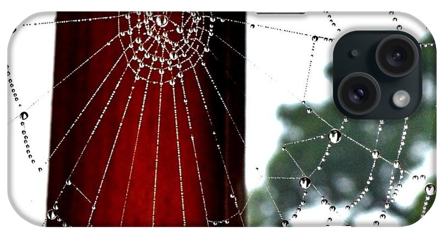 Spider Web iPhone Case featuring the photograph Silk by Susie Loechler