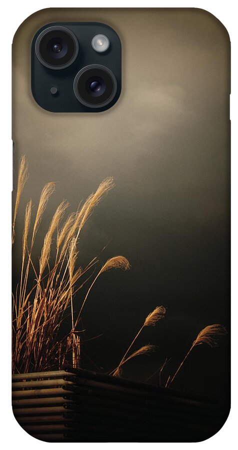 Silver Grass iPhone Case featuring the photograph Silver Grass by Yuka Kato