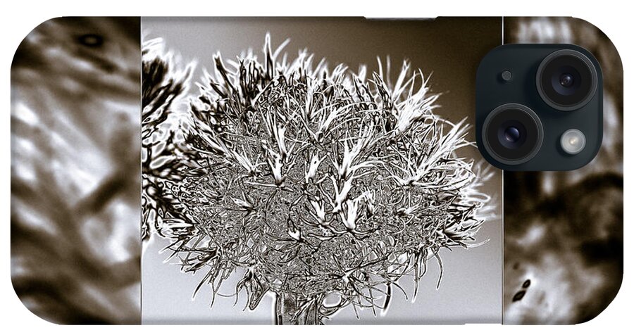 Mona Stut iPhone Case featuring the photograph Silver Thistle by Mona Stut