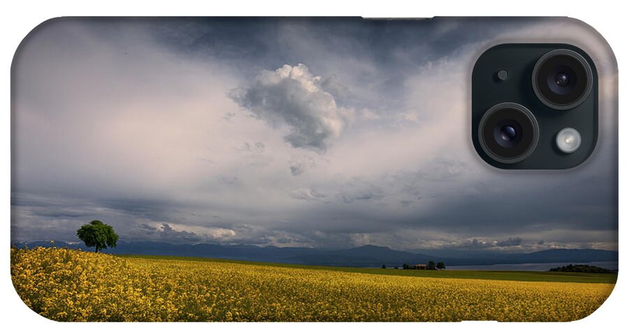 Rapeseed iPhone Case featuring the photograph Similarities by Dominique Dubied
