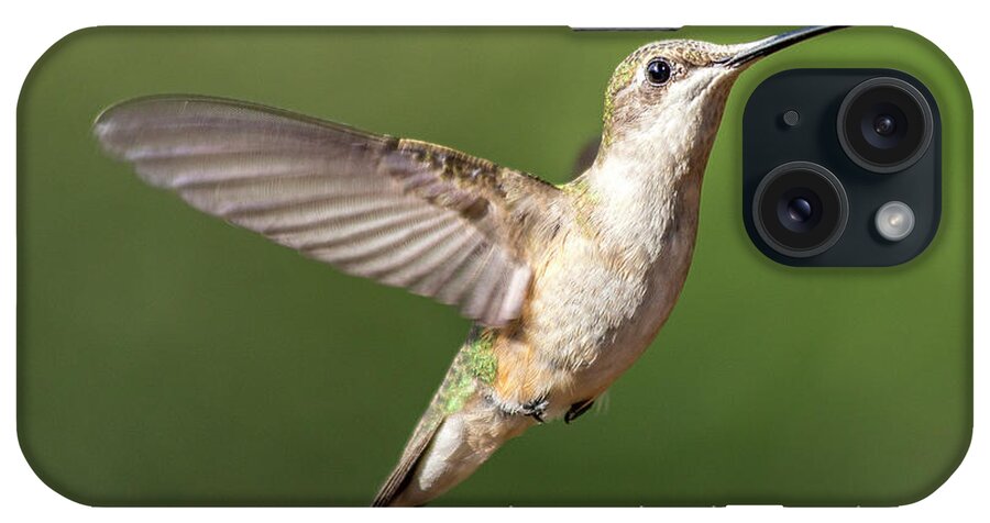 Hummingbird iPhone Case featuring the photograph Simple Country Truths Hummingbird by Betsy Knapp