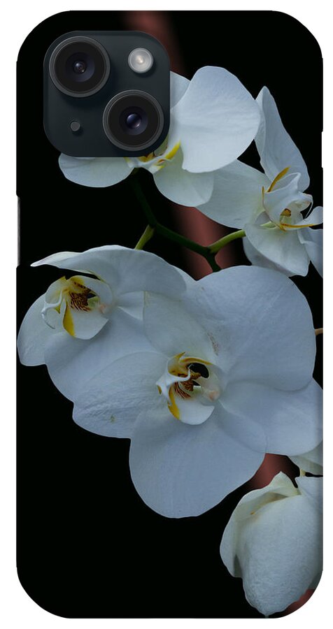 #orchids iPhone Case featuring the photograph Simple Elegance by Ramabhadran Thirupattur