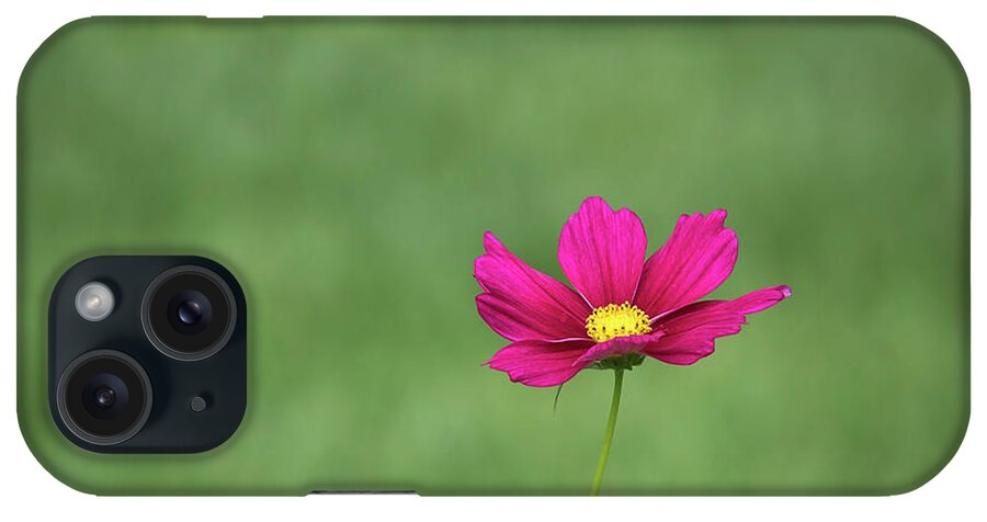 Flower iPhone Case featuring the photograph Simplicity by Andrea Silies