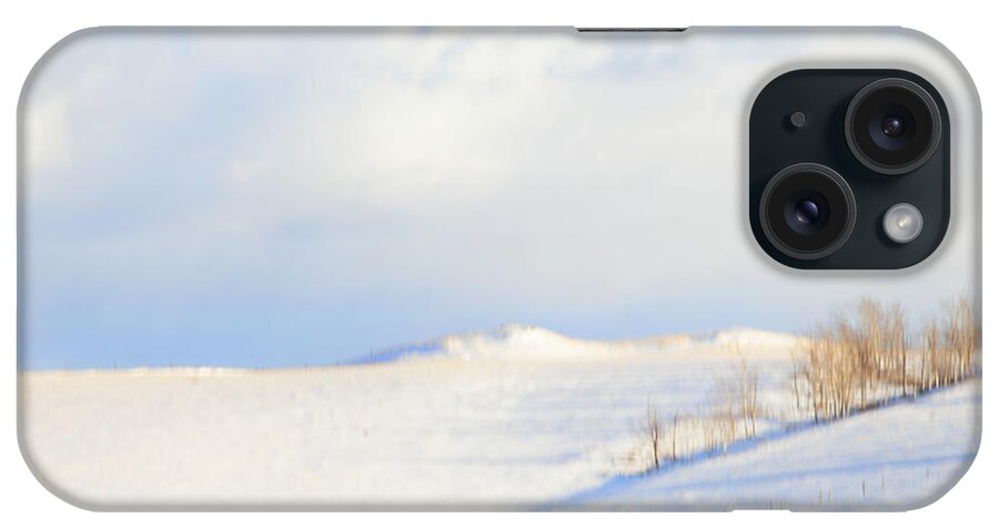 Minimalism iPhone Case featuring the photograph Simply Snow Landscape by Theresa Tahara