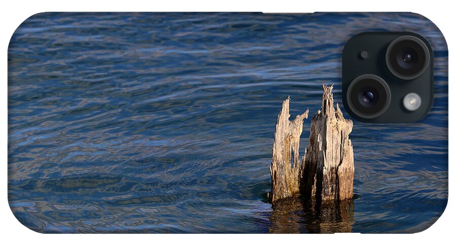 Pilings iPhone Case featuring the photograph Single Old Piling Horizontal by Mary Bedy