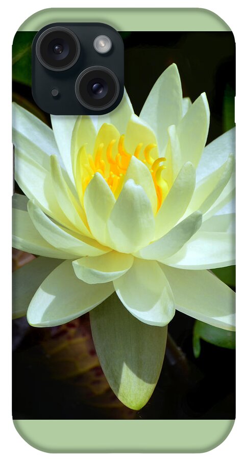 Water iPhone Case featuring the photograph Single Yellow Water Lily by Kathleen Stephens