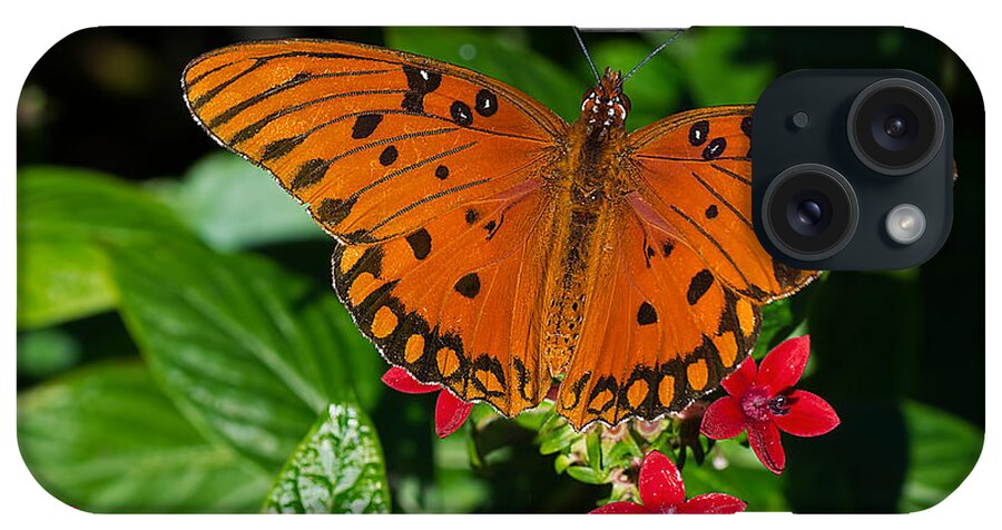 Wildlife iPhone Case featuring the photograph Sipping Gulf Fritillary by Kenneth Albin