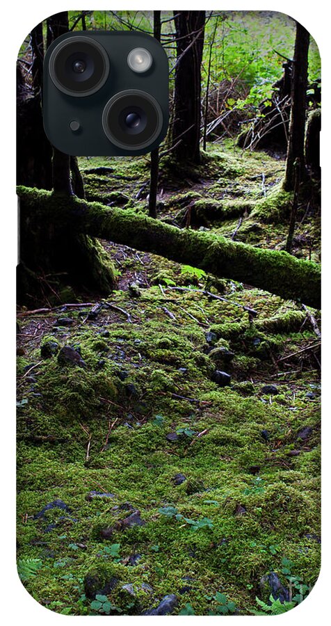 Forest iPhone Case featuring the photograph Sitka Rain Forest-Signed-#6015 by J L Woody Wooden