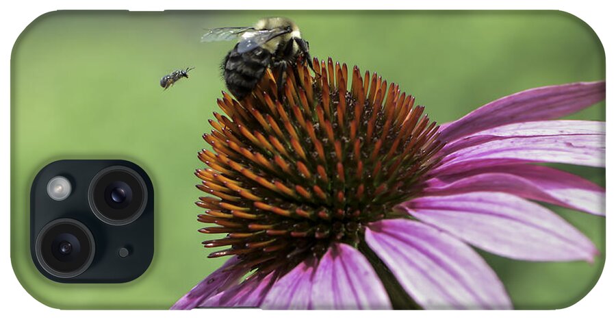 Bee iPhone Case featuring the photograph Size Matters by Andrea Silies