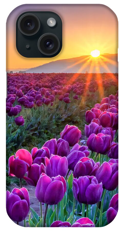 Tulip iPhone Case featuring the photograph Skagit Valley Sunrise by Kyle Wasielewski