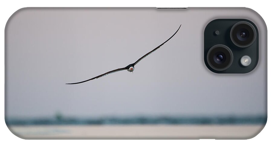 Digital Art iPhone Case featuring the photograph Skimmer in Flight by Melinda Dreyer