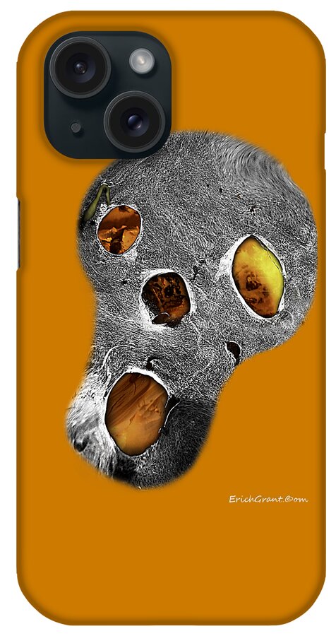 Texas iPhone Case featuring the photograph Skull Burn by Erich Grant