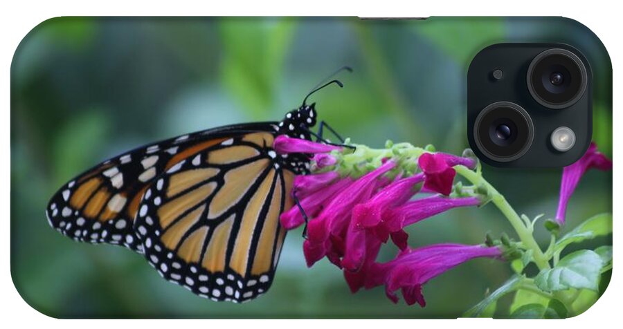 Butterfly iPhone Case featuring the photograph Monarch Visit by Dodie Ulery