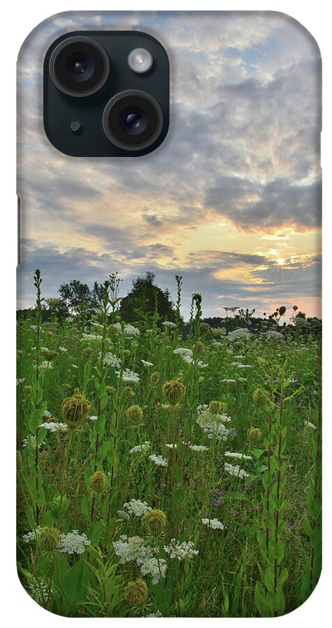 Sunflowers iPhone Case featuring the photograph Sky Opens Up Over Pleasant Valley Conservation Area by Ray Mathis