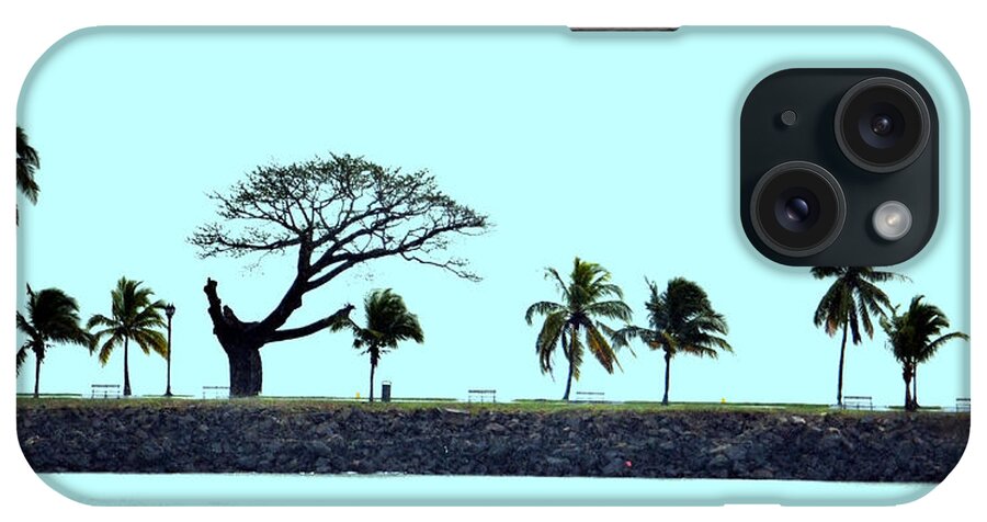 Panama iPhone Case featuring the photograph Skyline on Blue by Richard Ortolano