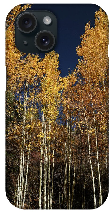 Landscape iPhone Case featuring the photograph Skyward Aspens by Ron Cline