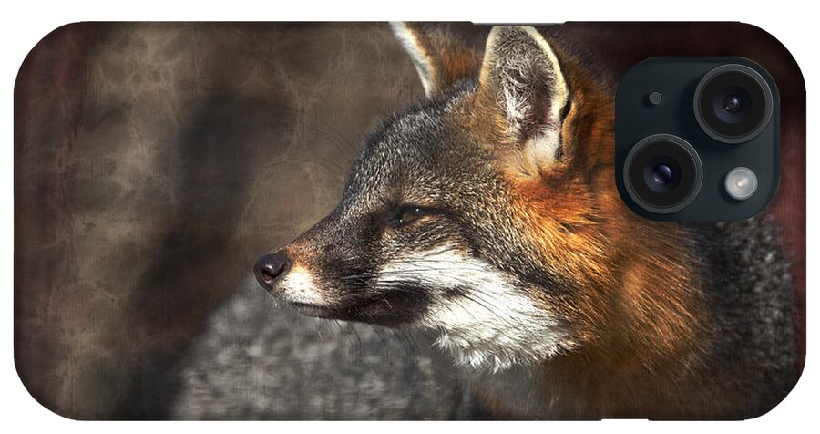 Gray Fox iPhone Case featuring the photograph Sly As A Fox by Karol Livote