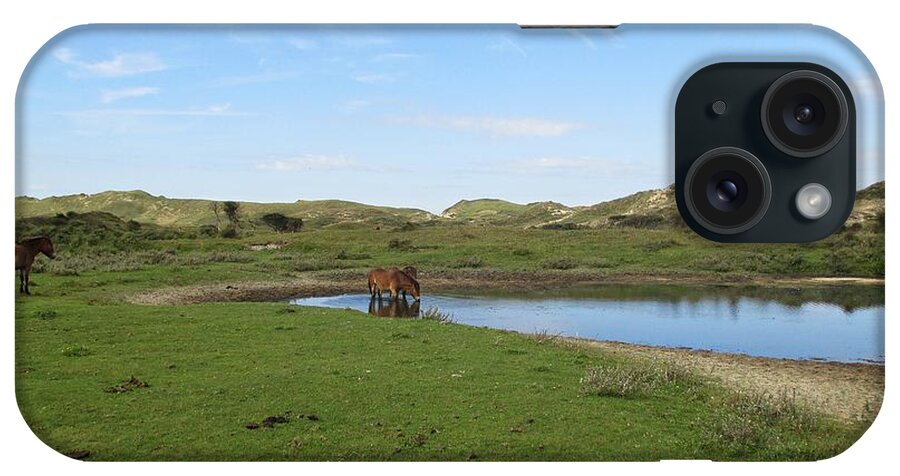 Noordhollandse Duinreservaat iPhone Case featuring the photograph Small lake with wild horses by Chani Demuijlder