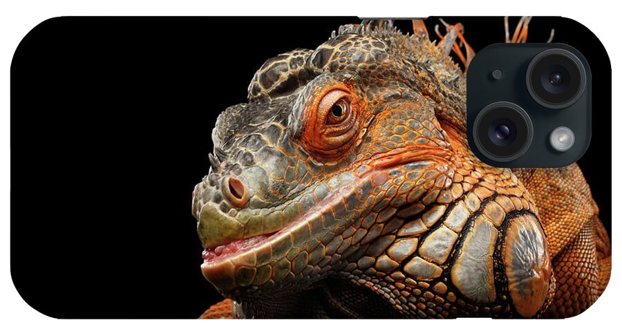 Shy iPhone Case featuring the photograph smiling Orange iguana isolated on black by Sergey Taran