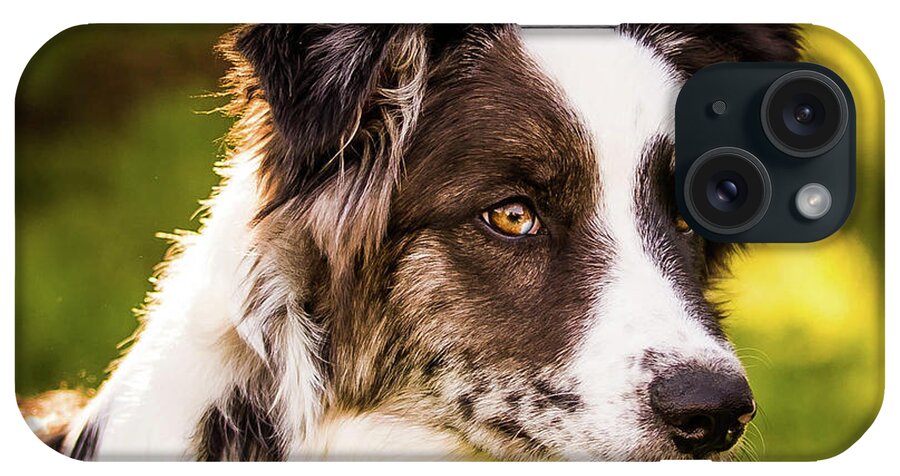 Rescued iPhone Case featuring the photograph Smokey's Second Chance by Cynthia Wolfe