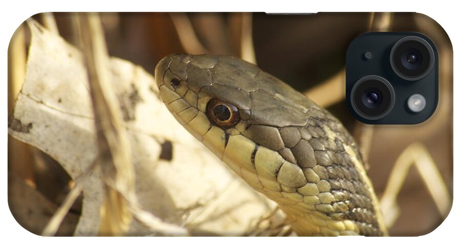 Wildlife iPhone Case featuring the photograph Snake Eye by Michael Peychich