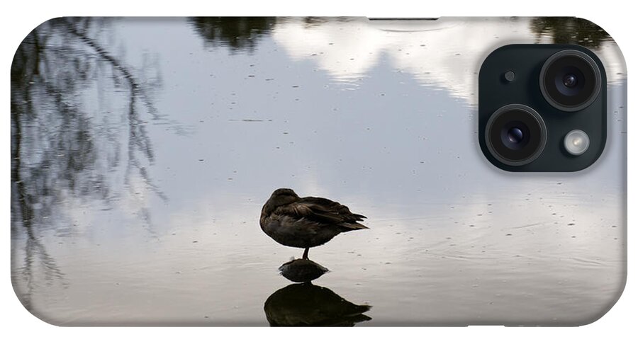 Duck iPhone Case featuring the photograph Snoozing mallard duck by John Mitchell