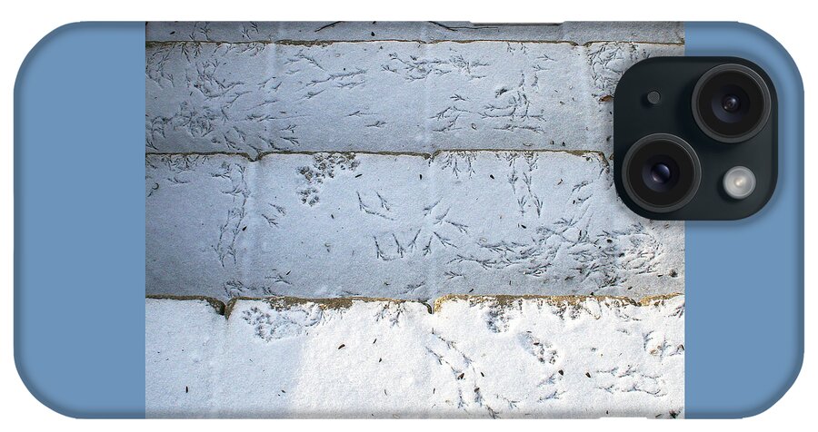 Snow iPhone Case featuring the photograph Snow Bird Tracks by Karen Adams