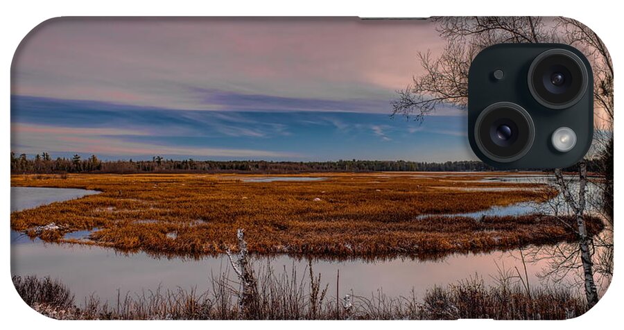 Backwater iPhone Case featuring the photograph Snow Dusted Marsh by Dale Kauzlaric