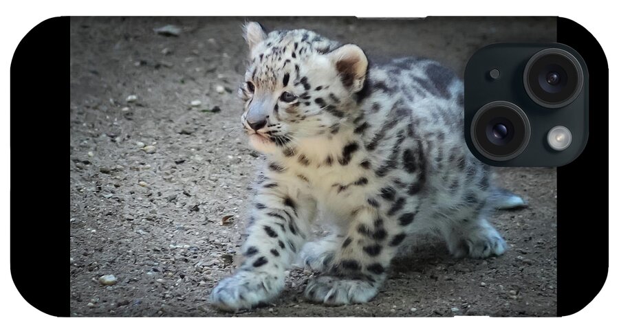Terry D Photography iPhone Case featuring the photograph Snow Leopard Cub by Terry DeLuco