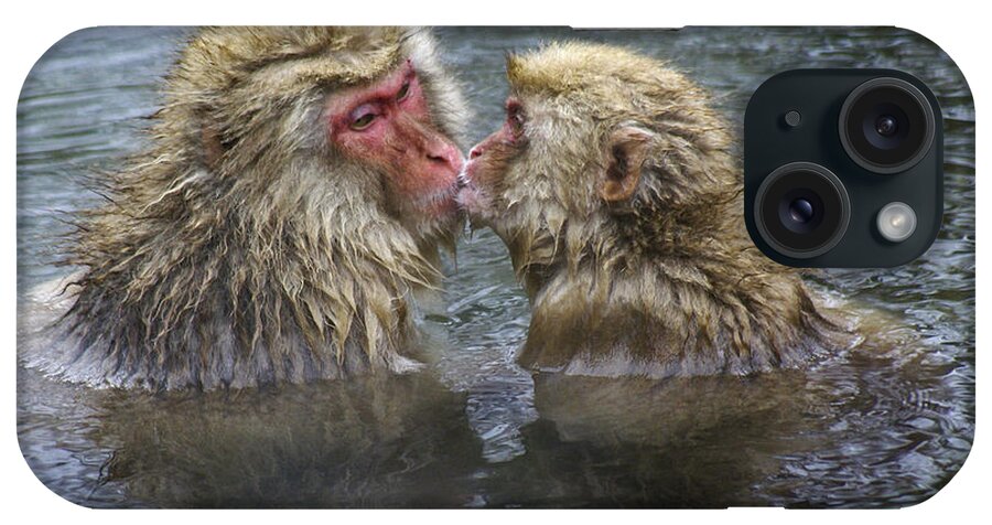 Snow Monkey iPhone Case featuring the photograph Snow Monkey Kisses by Michele Burgess