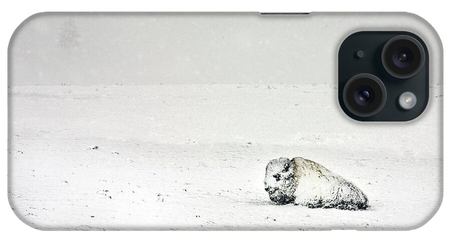 Landscape iPhone Case featuring the photograph Snow Storm Buffalo by Craig J Satterlee