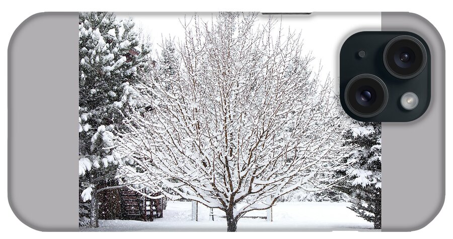 Photography iPhone Case featuring the photograph Snow Tree by Sandra Dalton