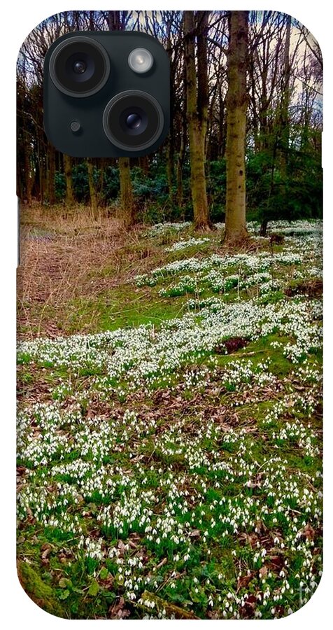Snowdrops iPhone Case featuring the photograph Snowdrop Woods by Joan-Violet Stretch