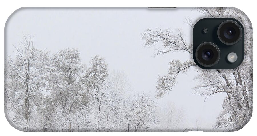 Hainesville iPhone Case featuring the photograph Snowing in a Starbucks Parking Lot by Joni Eskridge