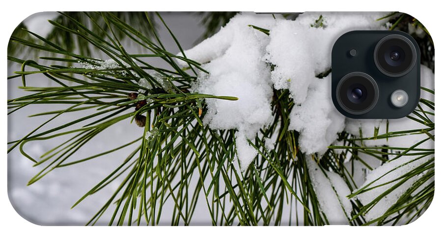 Snow iPhone Case featuring the photograph Snowy Branch by Nicole Lloyd