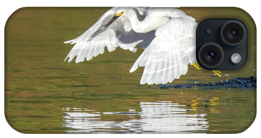 Snowy iPhone Case featuring the photograph Snowy Egret 5272-092117-1cr by Tam Ryan
