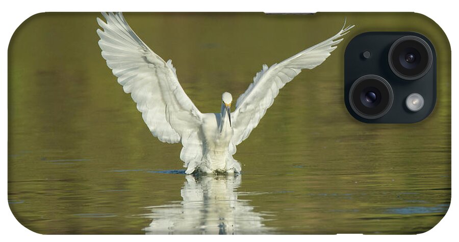 Snowy iPhone Case featuring the photograph Snowy Egret 5601-092217-1cr by Tam Ryan