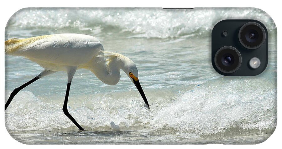 Lido Beach iPhone Case featuring the photograph Snowy Egret 6265 Lido Beach by Steve Somerville