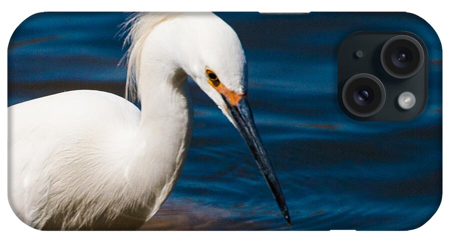 Snowy Egret iPhone Case featuring the photograph Snowy Egret fishing #2 by Mindy Musick King