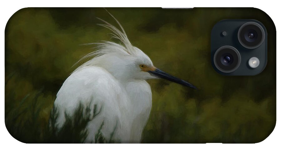 Birds iPhone Case featuring the digital art Snowy Egret Portrait DA by Ernest Echols