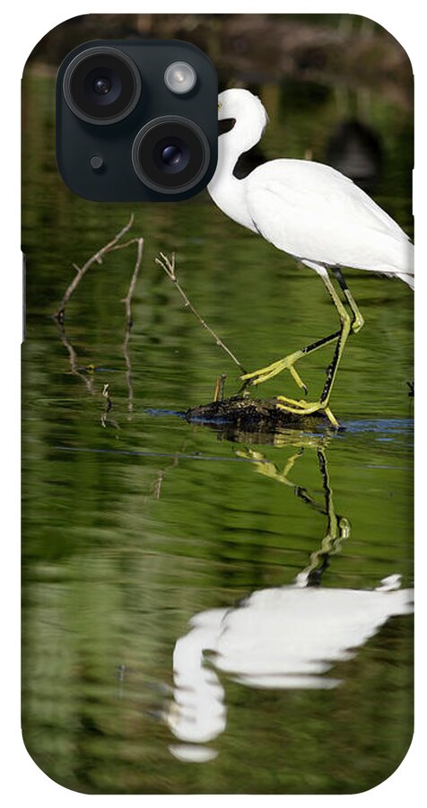 Egret iPhone Case featuring the photograph Snowy Egret Reflection by Mark Harrington