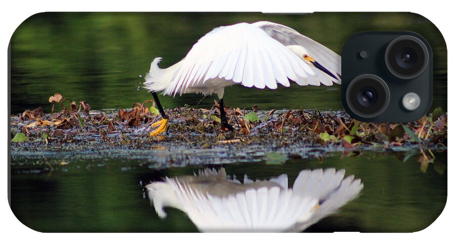 Bird iPhone Case featuring the photograph Snowy Egret Taking Flight by DB Hayes