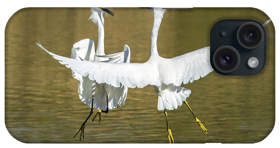 Snowy iPhone Case featuring the photograph Snowy Egrets Fight 3638-112317-1cr by Tam Ryan