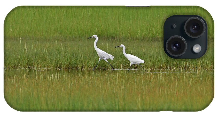 Egret iPhone Case featuring the photograph Snowy Egrets by Ken Stampfer