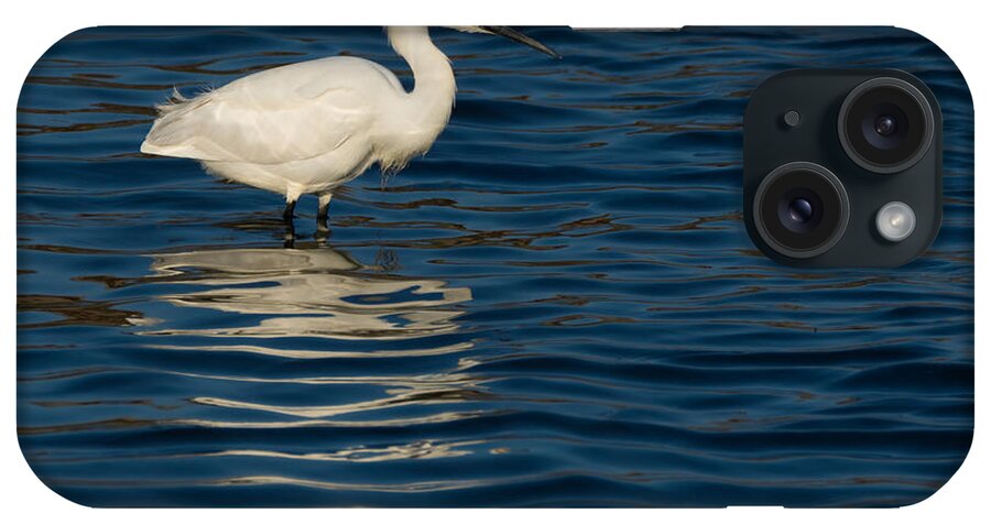 Birds iPhone Case featuring the photograph Snowy Reflections by Ernest Echols