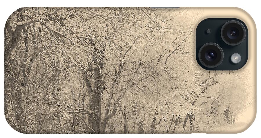 Snow iPhone Case featuring the photograph Snowy Road by Julie Lueders 