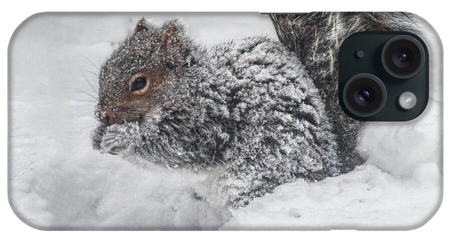 Squirrel iPhone Case featuring the photograph Snowy Squirrel by Cathy Kovarik