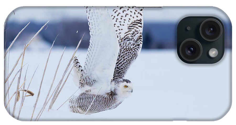 Art iPhone Case featuring the photograph Snowy Take Off by Mircea Costina Photography