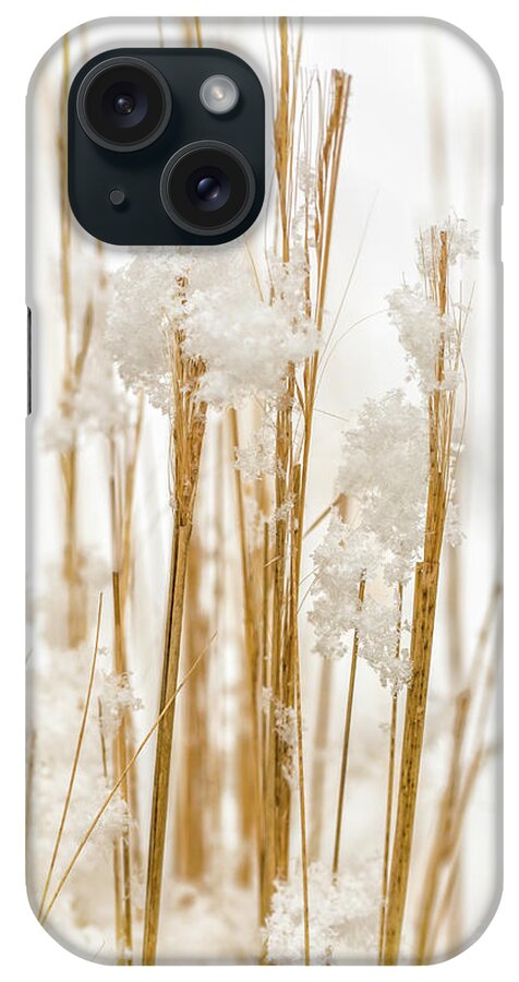 Snow iPhone Case featuring the photograph Snowy weed - vertical by Delphimages Photo Creations