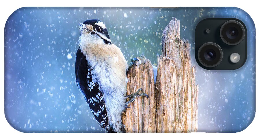 Animal iPhone Case featuring the photograph Snowy Winter Downy by Bill and Linda Tiepelman